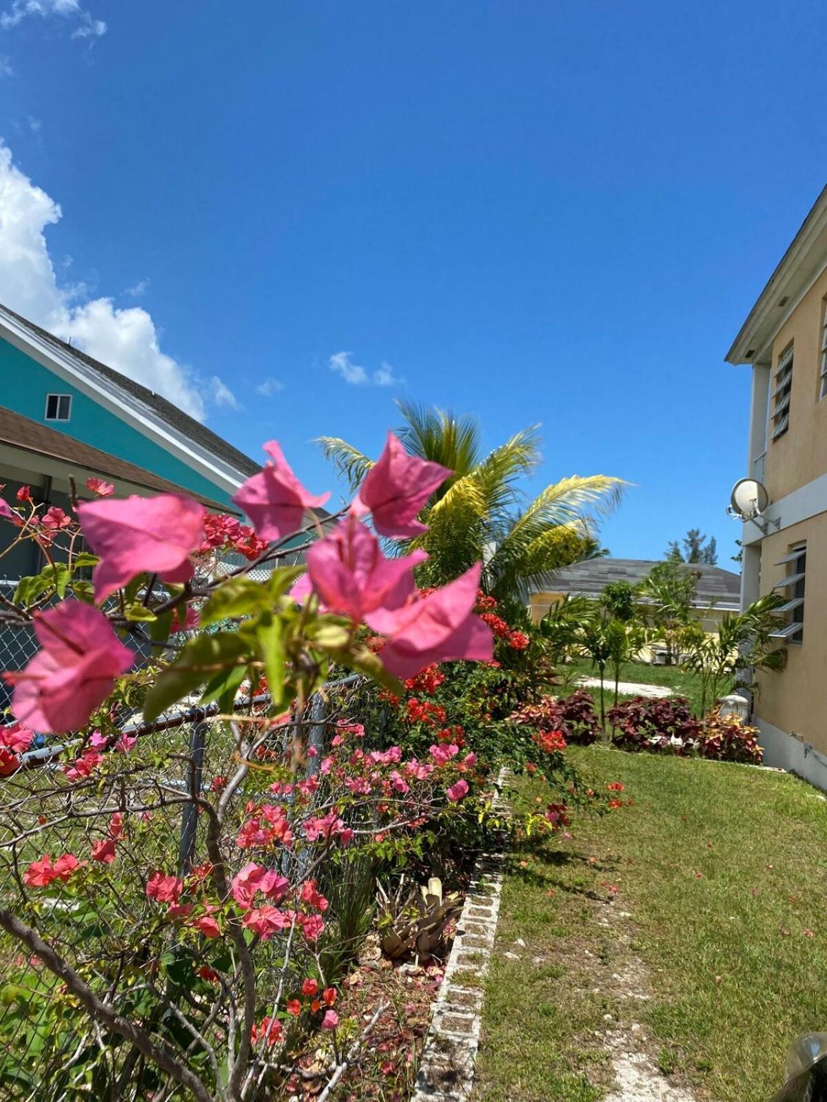 Island Vibes Point Of View- Near & Airport Apartment *
