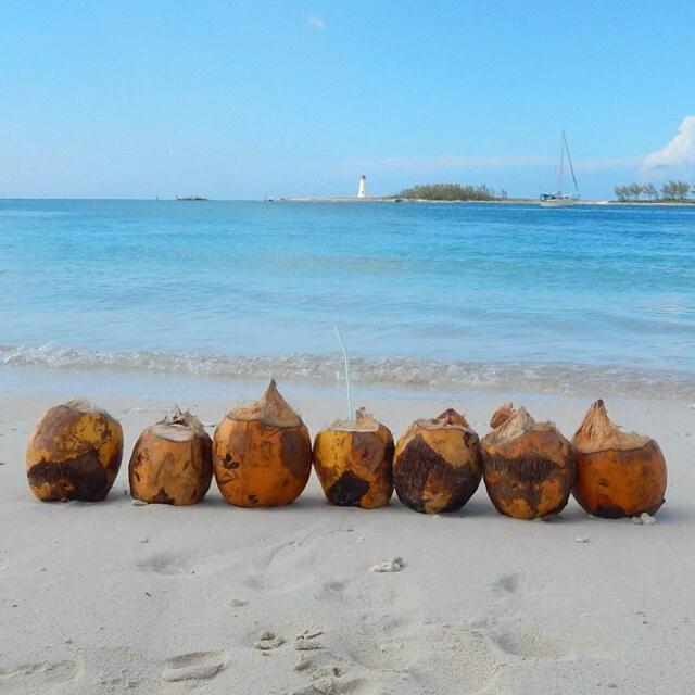 Island Vibes Point Of View- Near & Airport * Nassau