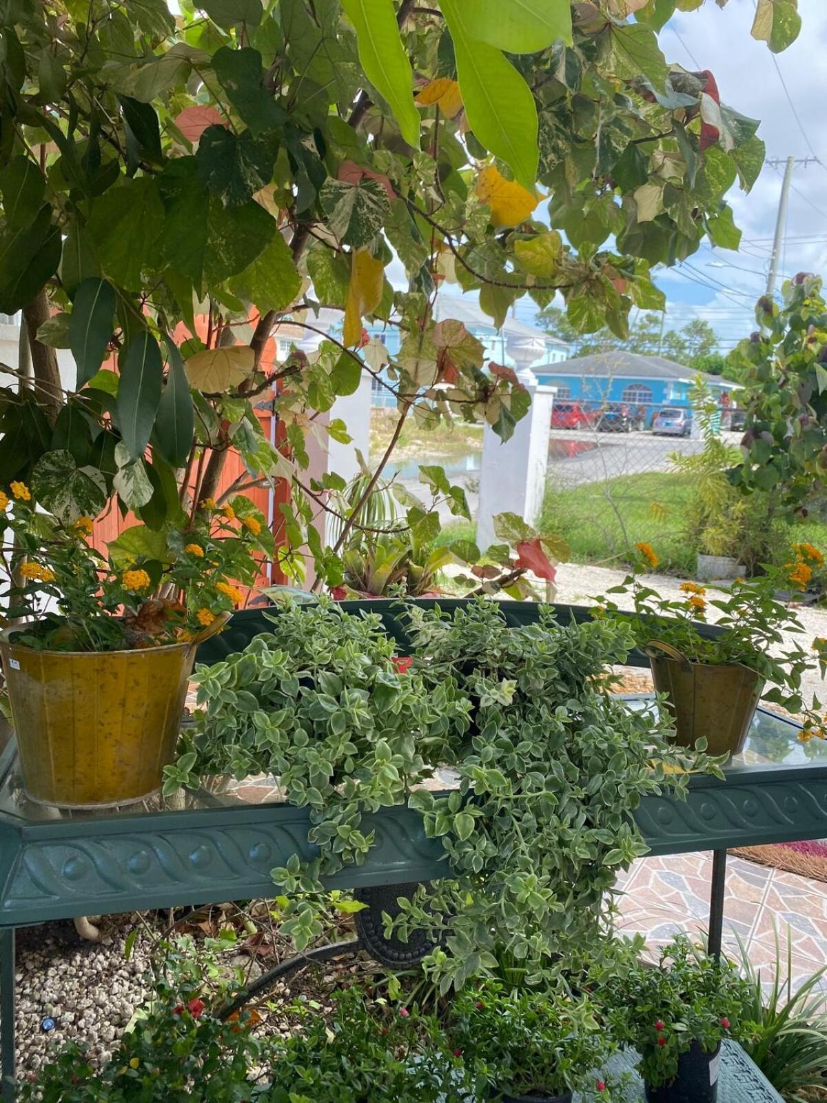 Island Vibes Point Of View- Near & Airport * Nassau